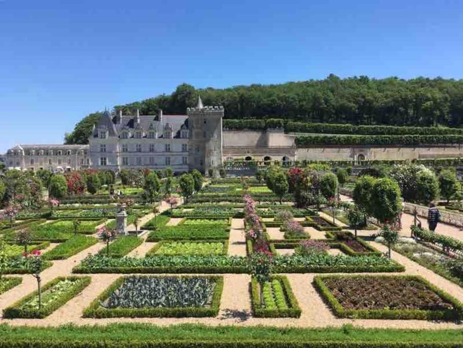 Gite Chalet-Piscine "Belle-Etoile" Touraine Anjou Курсель-де-Туре Экстерьер фото